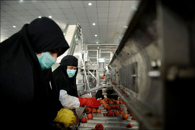 Workers sort pomegranates at the Omaid Bahar Fruit Processing Company, Afghanistan's first fruit processing and juicing facility, in Kabul, 7 December 2009. 
