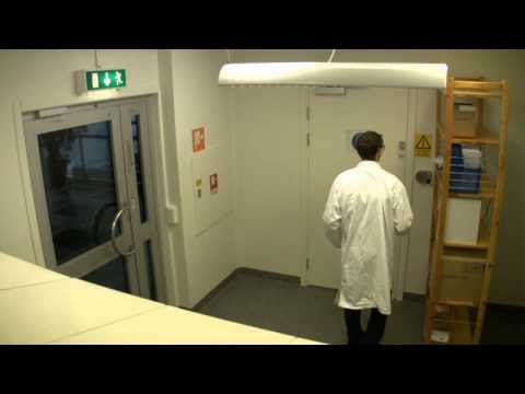 Video de una broma entre cientificos