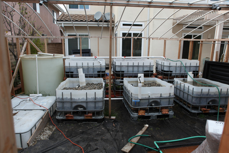 Tank fish: Get Aquaponics tanks perth