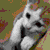 iconhiplz :iconiconhiplz: