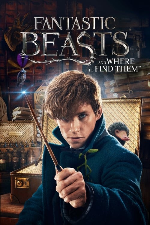 Full of Fantastic Beasts and Where to Find Them 2016 Streaming 4K
ULTRAHD Happy Watching