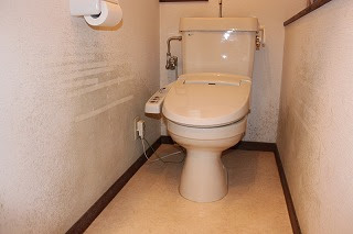 トイレの簡単diy 壁のカビ汚れを落としてムース塗料でセルフリフォーム といれたすブログ