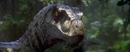 \u0026quot;Jurassic Park 4\u0026quot;: Drehbuchautoren f\u00fcr DinosaurierSequel gefunden  Kino News  FILMSTARTS.de