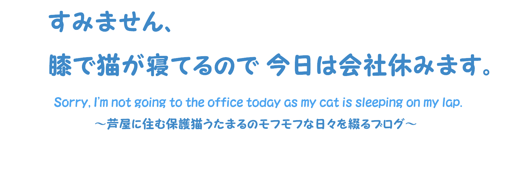 動画第2弾 うたまるビーム ちぐさのもぐもぐタイムを覗き見 すみません 膝で猫が寝てるので今日は会社休みます