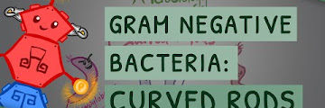 View 28 Campylobacter Coli Gram Stain