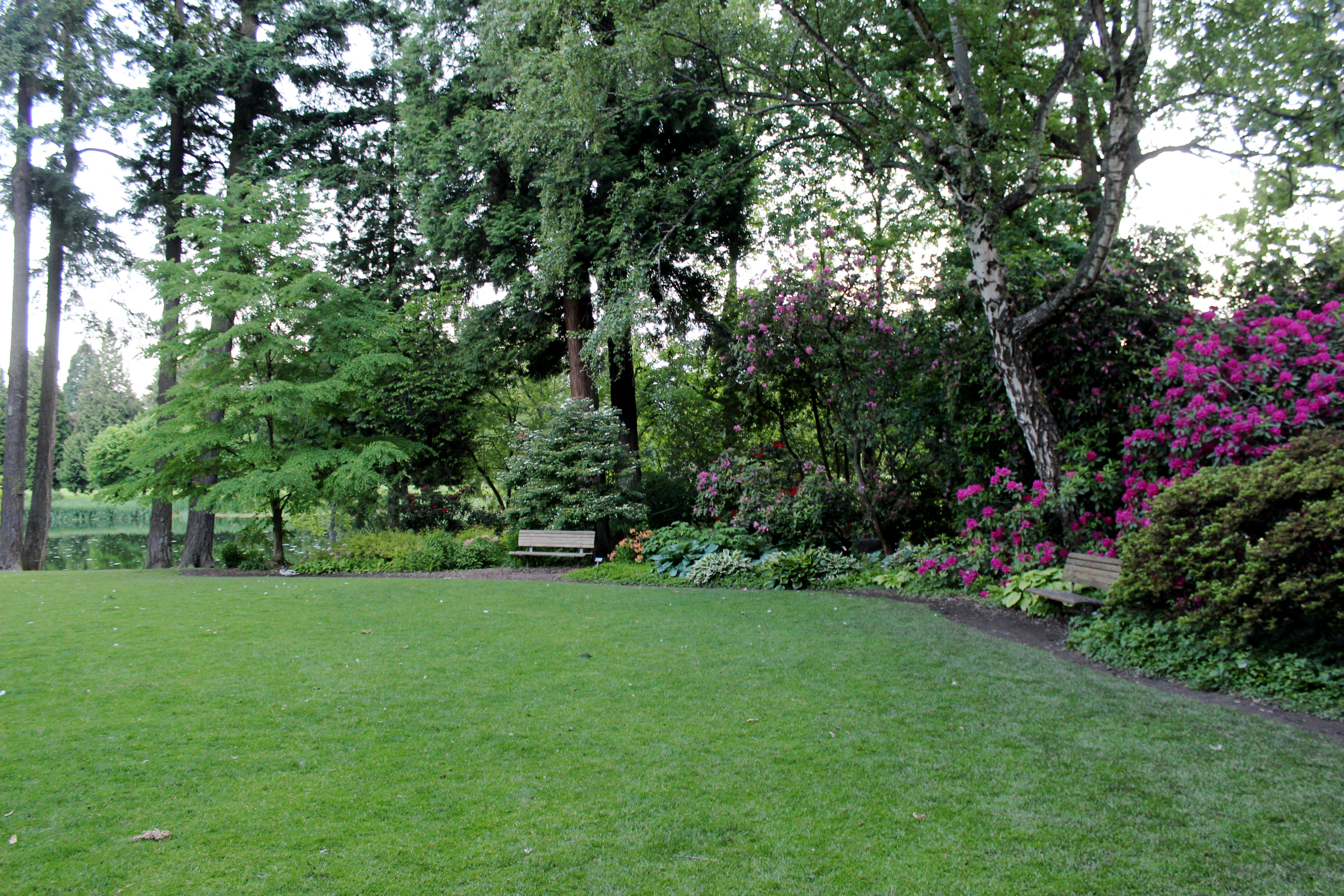Crystal Springs Rhododendron Gardens | Kristi Does PDX