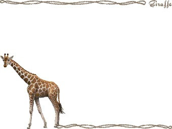 麒麟 キリンのイラスト 条件付フリー素材集