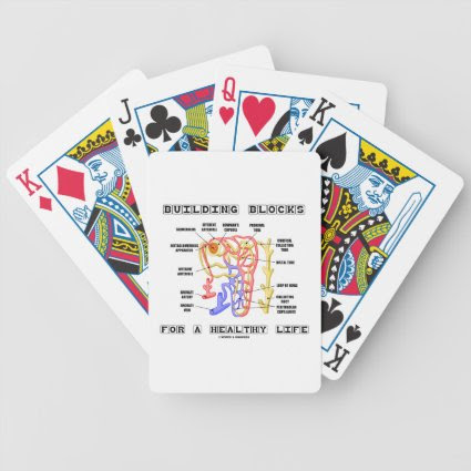Building Blocks For A Healthy Life Kidney Nephron Bicycle Playing Cards
