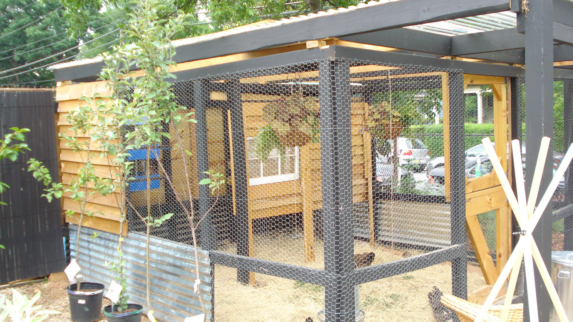 chicken coop and chickens! | ChefsPov.com