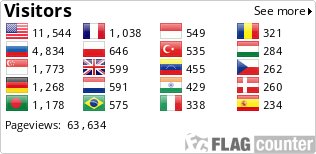 Flag Counter