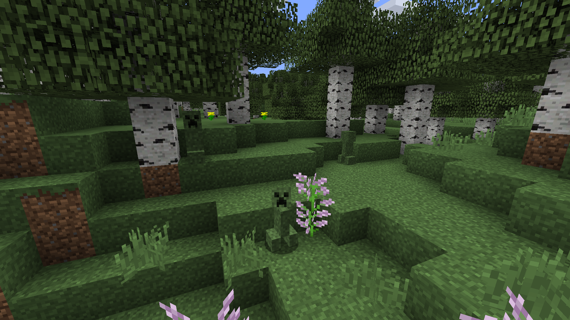Overview - Camo Creepers - Texture Packs - Projects 