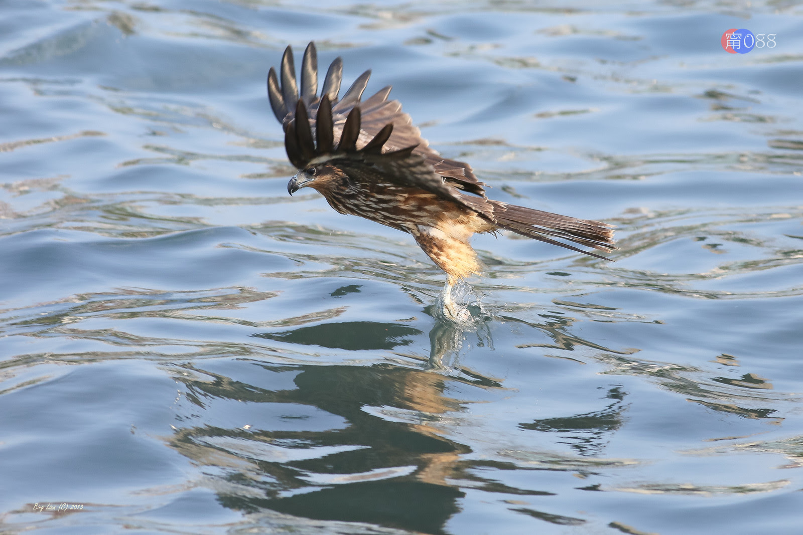 WATER_BING9861_LR