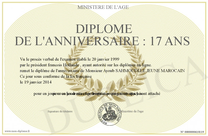 Anniversaire 17 Ans Fille  Joyeux Anniversaire