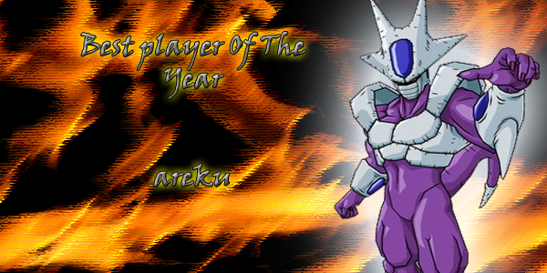 winner of 3 budokai tenkaichi 1 tourney of 2009