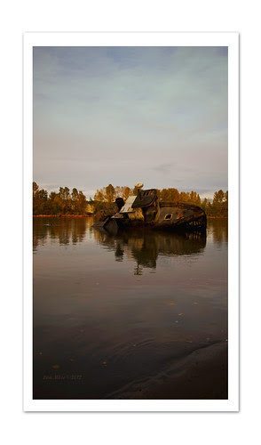 Same ground, the infinite abyss ~ in fall colour by lisa 1377