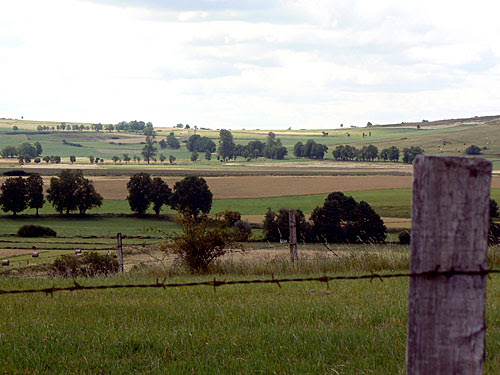 paysage talizat 1.jpg