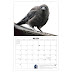 Crow Wing Court Calendar