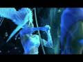 Final Fantasy 13 XIII NEW High Quality HD