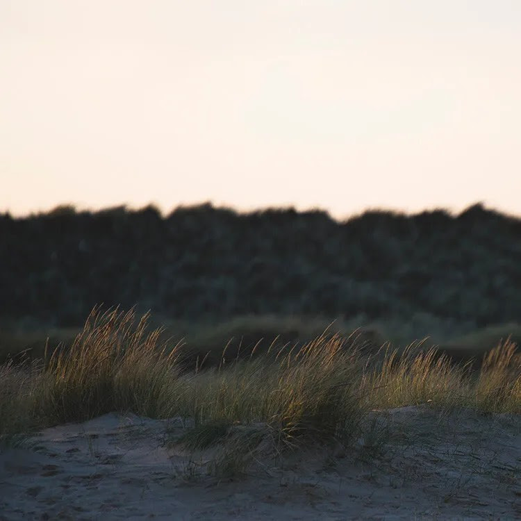 Nikon 70-200mm lens review details