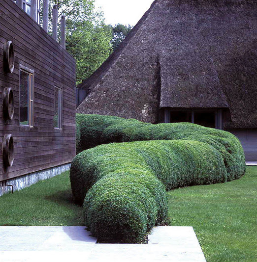 carex: garden design by carolyn mullet