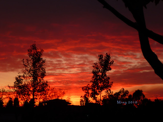 11-30-2010 sunset 2