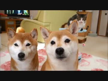 ひかいちミルキーの なんでやねん 練習 ニコニコ動画