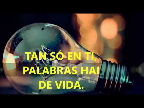Imaxe