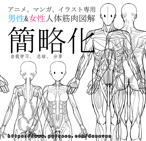 アニメ マンガ イラスト専用男性 女性人体の筋肉と図解简略化 Pixiv年鑑 B