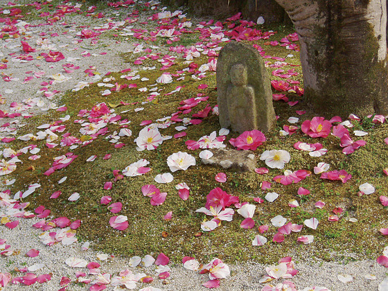 奈良エリア 奈良大和路の花のみどころ 奈良県観光 公式サイト あをによし なら旅ネット