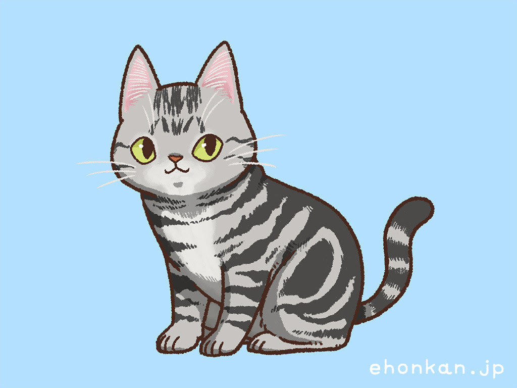新作絵本 いろんな猫 どれくらい知ってる 可愛いイラストで学ぶ ねこずかん
