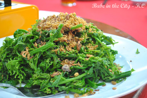 Stir fried paku pakis