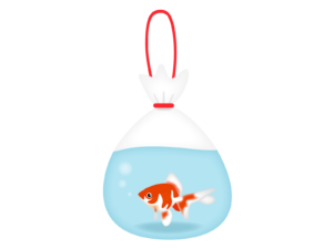 お祭りの金魚を持って帰ったけど 水やブクブクなしの場合どうする