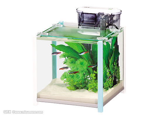 1000以上水槽小型