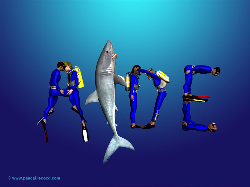 pascal_lecocq_lec957a