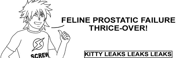 KittyLeaksLeaksLeaks