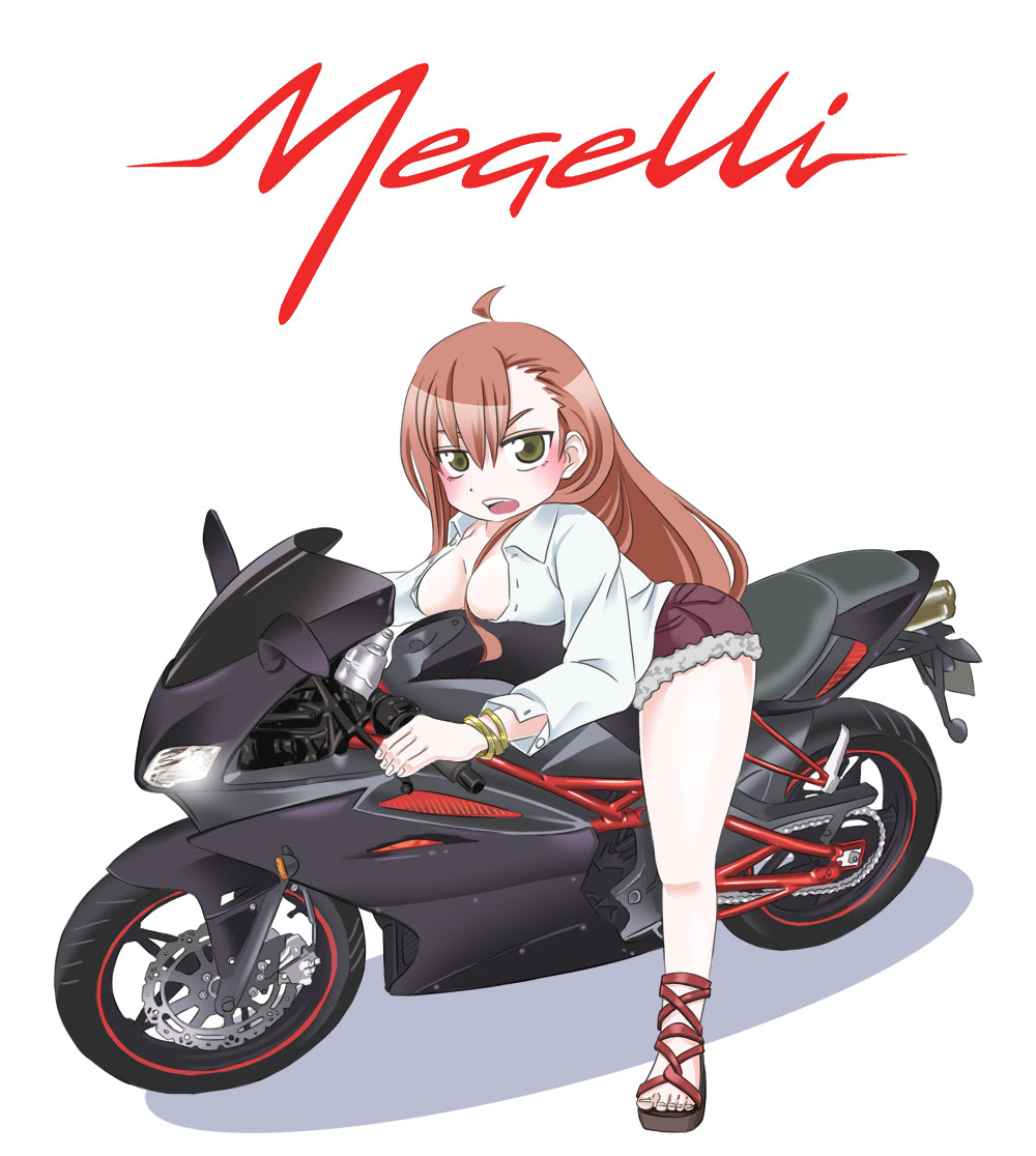 メガリ250rに盛られる巨乳 イラスト オフの日ライダーがくる Ttr250 Duke0 Klx125