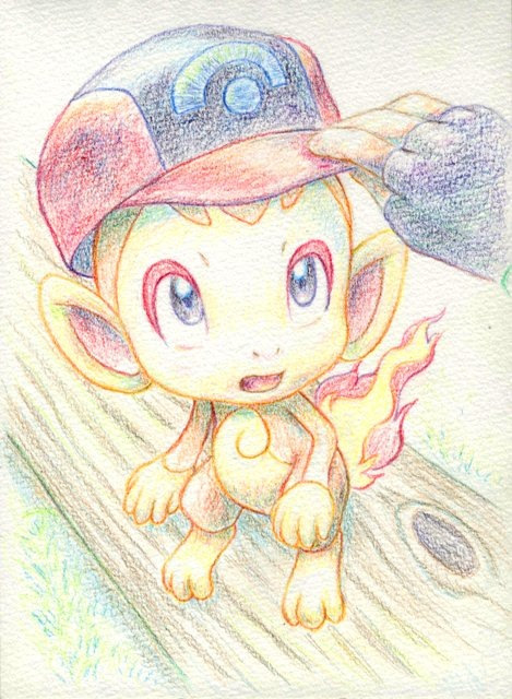 ヒコザルと帽子
