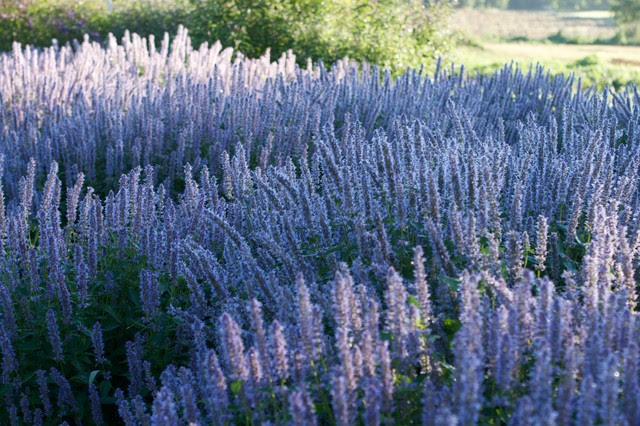 Landscape Architects &amp; Landscape Designers
