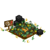 Pumpkin Patch