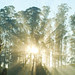 Ooty3