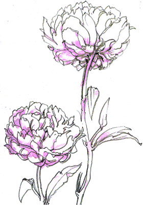 田熊 順 絵画教室 しゃくやく 水彩画 塗り絵で描く 塗り絵で癒し 風景画 花の絵