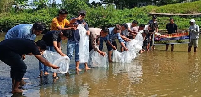 Dukung Pelestarian Sungai, Anggota DPRD Nasmi Tebar 5.000 Bibit Ikan Di Bendungan Talawi.