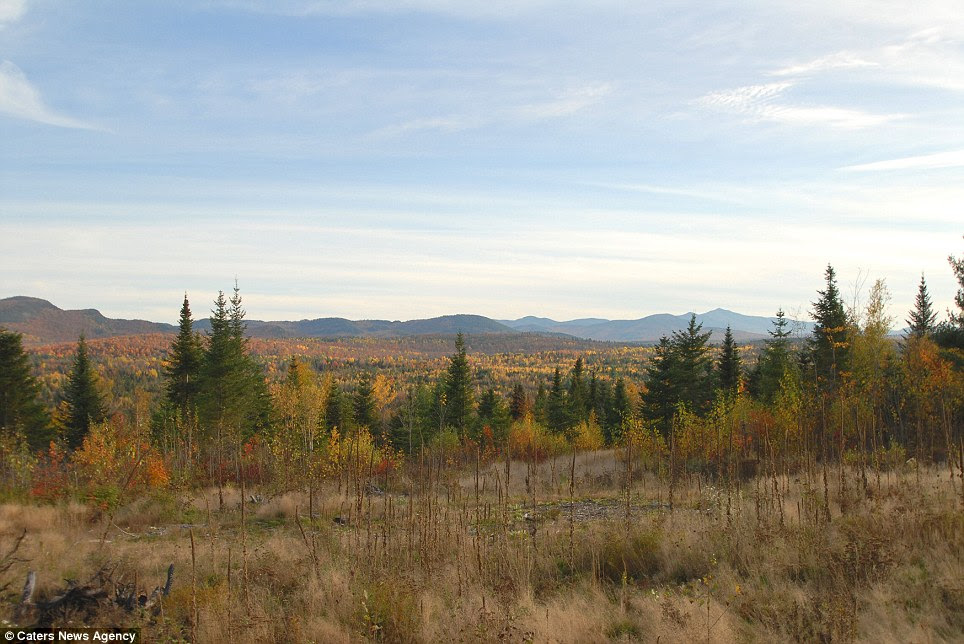 Silo with a view: The isolated property boasts spectacular views of the gorgeous Adirondack State Park which is near Lake Placid in Essex County, upstate New York