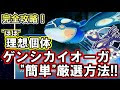 画像をダウンロード ポケモン ルビー おすすめポケモン 166965-ポケモン ルビー おすすめポケモン