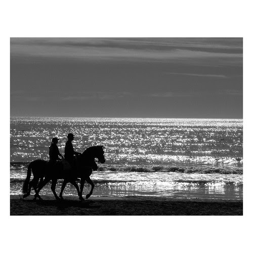 Untitled by dolors ayxendri