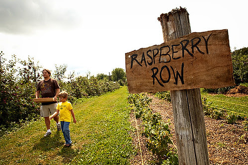 Professional Photo's of Lapacek's Orchard