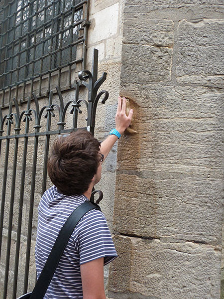 main sur la chouette