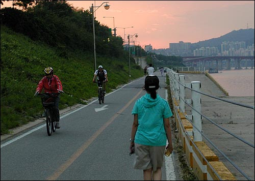 자전거 동호회 신호위반
