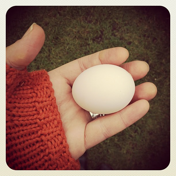 1/1.2012 - a new year to be hatched