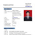 Cara Membuat Cv Yang Menarik Dan Kreatif